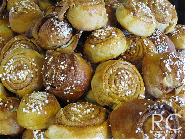 9 bullar1 9 bullar1