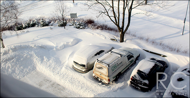 2snöjävel