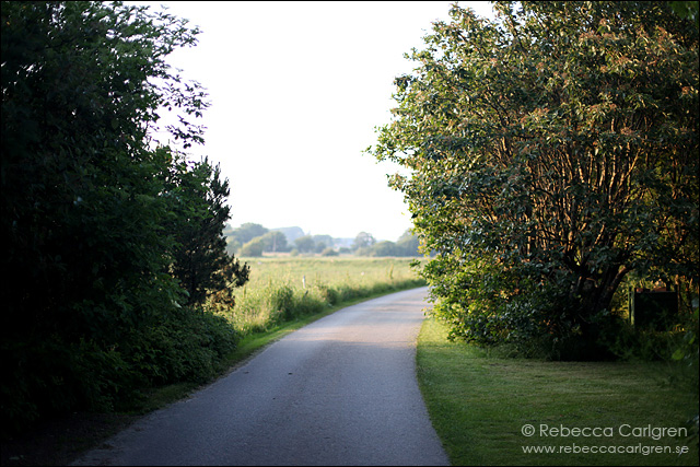 6 promenad2