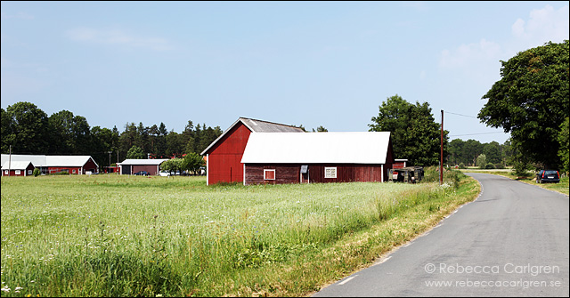 7 visingsö 11