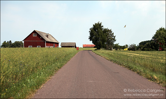 7 visingsö 3