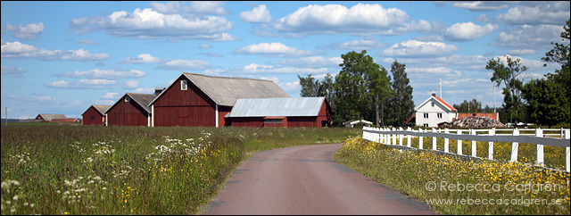 7 visingsö3